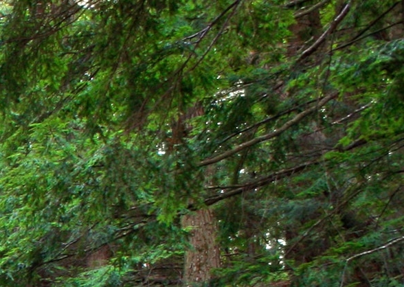 粉象生活能赚到钱吗