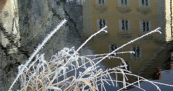 粉象生活还能走多久