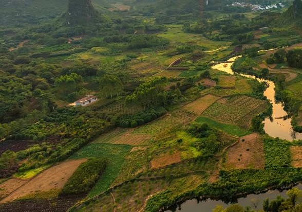 粉象生活赚钱教程