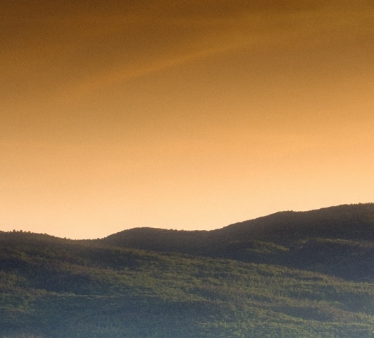 粉象生活佣金利润表