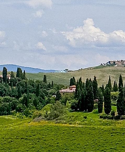 粉象生活开奖图片