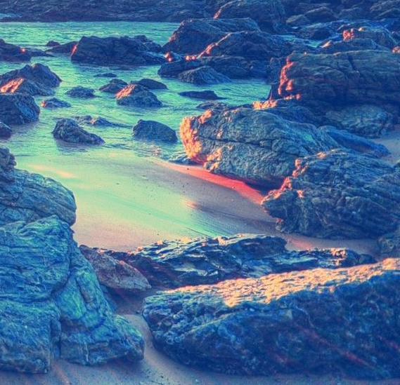 双鸭山粉象生活代理