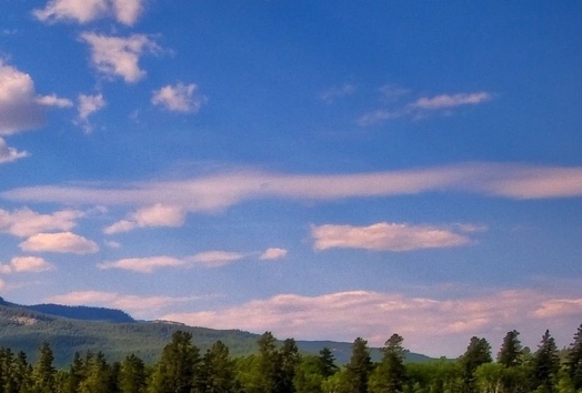 粉象生活自动打开