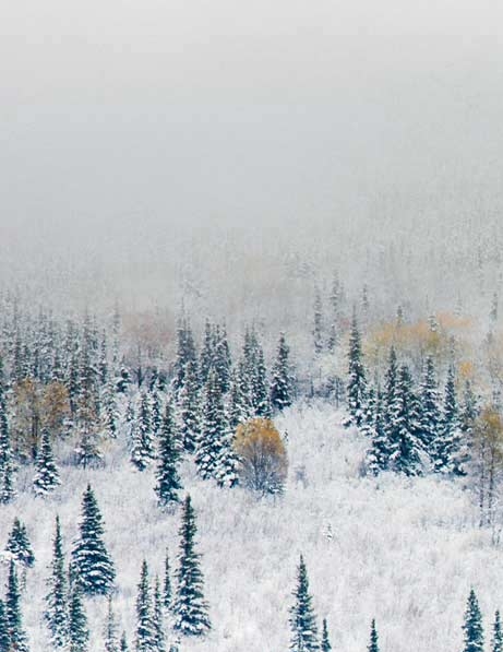 粉象生活怎么赚钱的