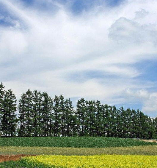 粉象生活下载了