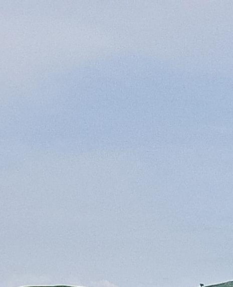 粉象生活还好吗