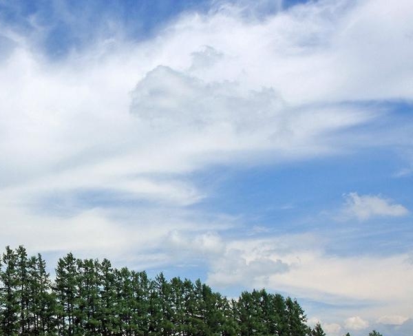 金昌粉象生活vip