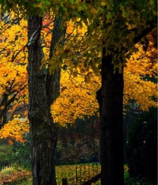 粉象生活怎么安全