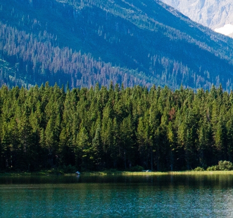 粉象生活模式合法吗