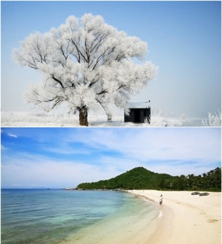 粉象生活下单得奖码