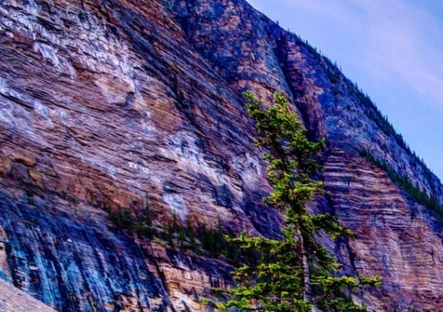 温州正规粉象生活