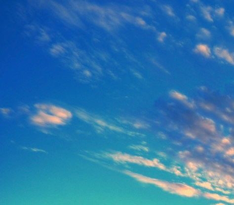 粉象生活下载app