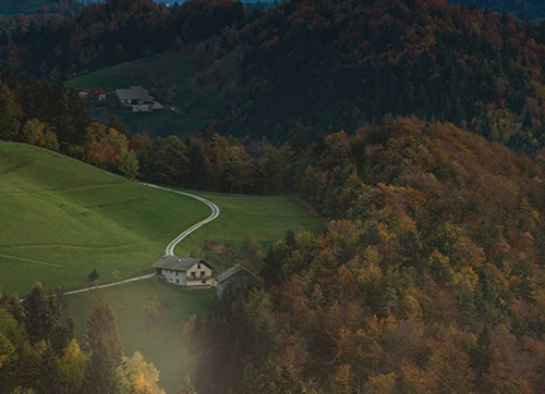 粉象生活怎么赚钱