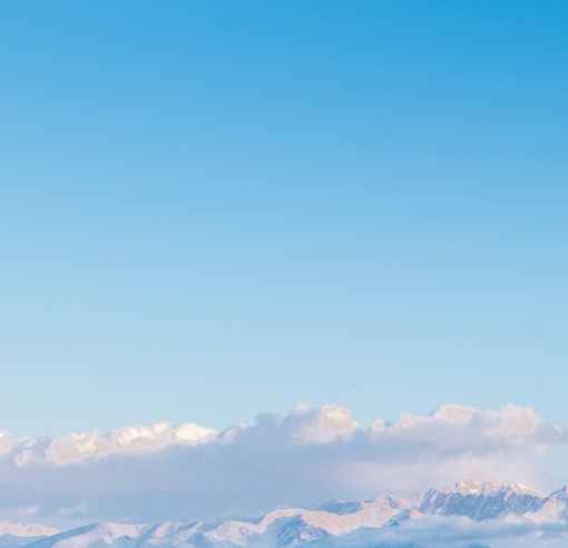 粉象生活是个什么东西