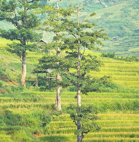 粉象生活怎么注册新号