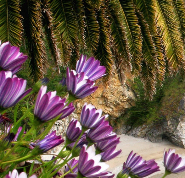 江西粉象生活吧