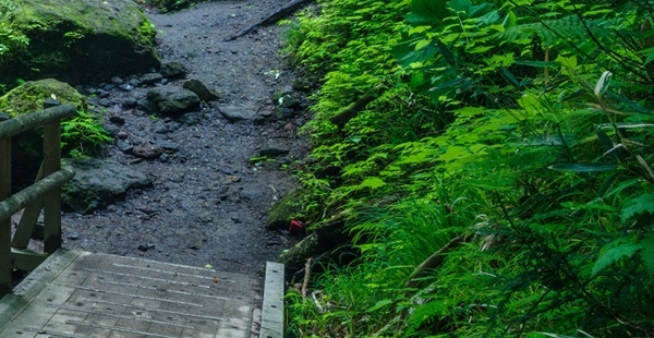 粉象生活邀请码