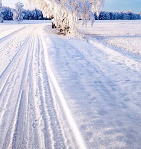 粉象生活招聘海报