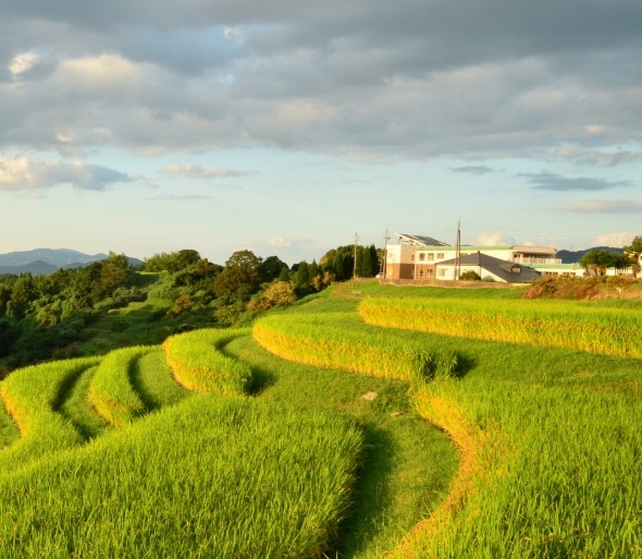 粉象生活赚钱教程