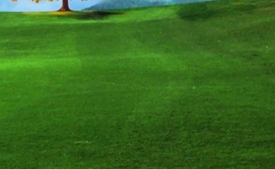 吉林品质粉象生活好不好