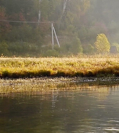 粉象生活怎么更改头像