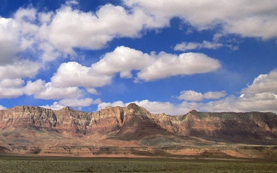 闲鱼怎么引流推广粉象生活