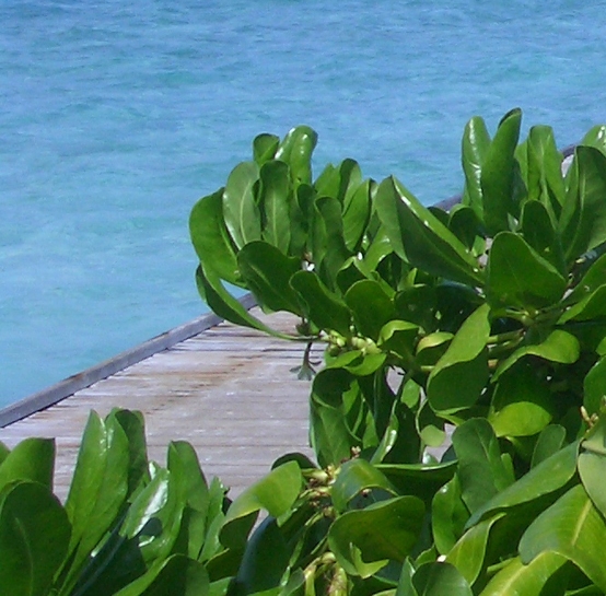 粉象生活下载app