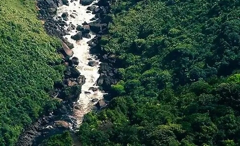 广东粉象生活软件