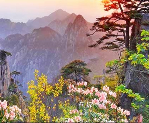 粉象生活修改头像和昵称