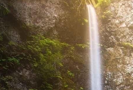 广州粉象生活没有天天零元购怎么回事