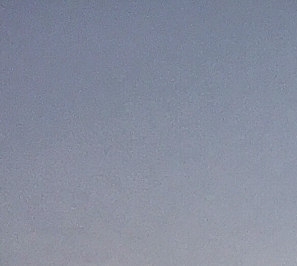 腾讯会议粉象生活