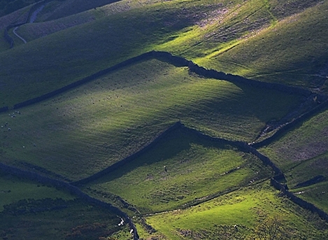 粉象生活邀请加入