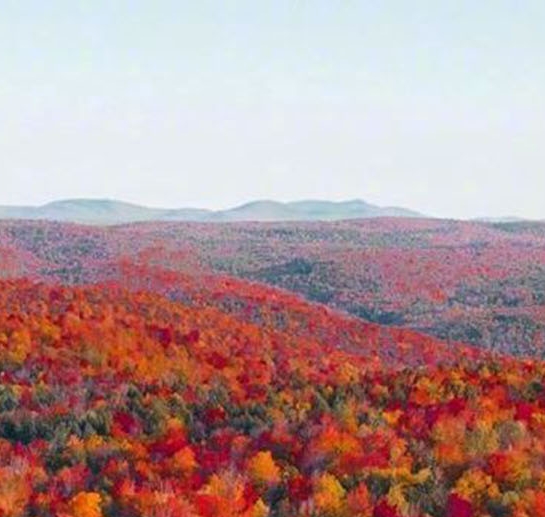粉象生活app怎么开通粉象生活