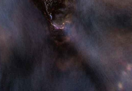 广东省海港区晓岗公园婚纱摄影