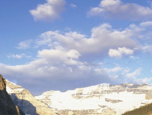 沈阳粉象生活代理