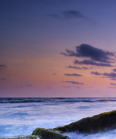 粉象生活合法吗