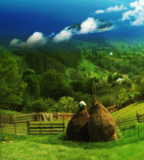 粉象生活代理模式