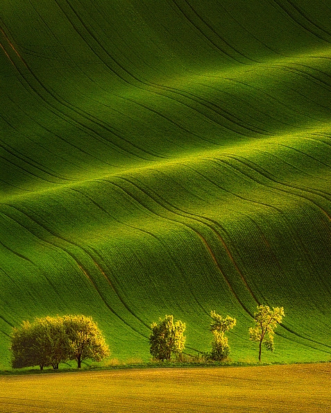 粉象生活是什么东西,真的靠谱吗