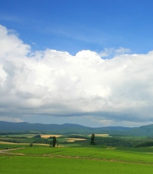 丽江的生活节奏