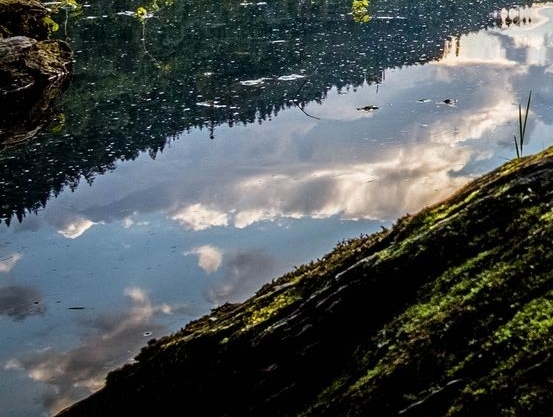 宿迁粉象生活佣金