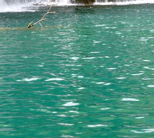 粉象生活怎么快速推广