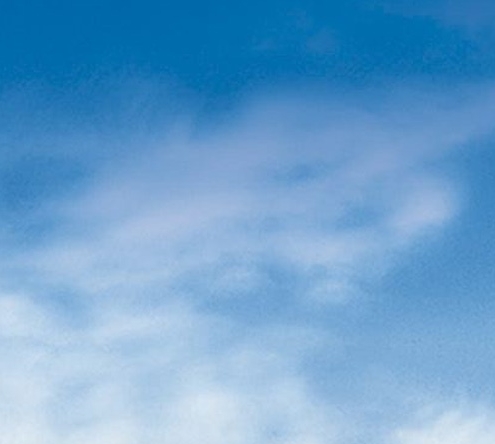 粉象生活搜索视频