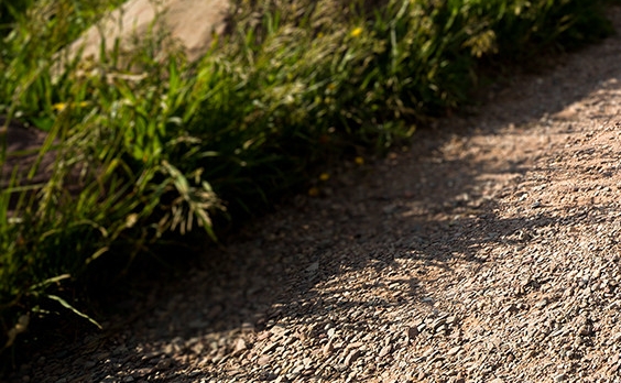 粉象生活可以赚钱吗