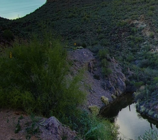 粉象生活到底能不能做