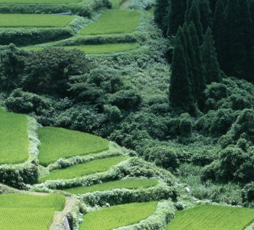 长沙粉店加盟费用多少钱