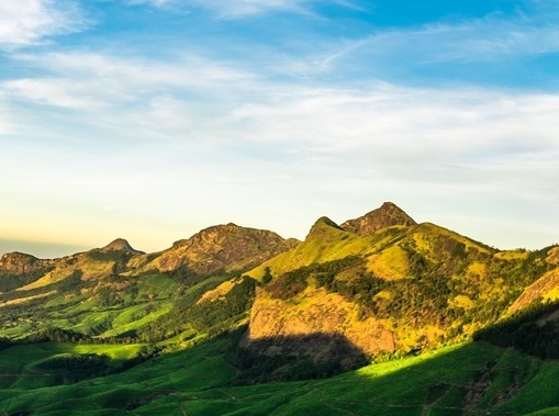 下载粉象生活能赚钱吗