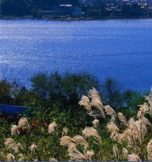 粉象生活和好友如何一起玩