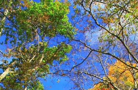 粉象生活自动退出