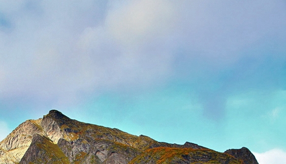 粉象生活怎么赚钱?操作一个月收入3