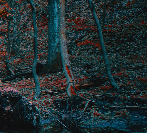 粉象生活赚钱教程